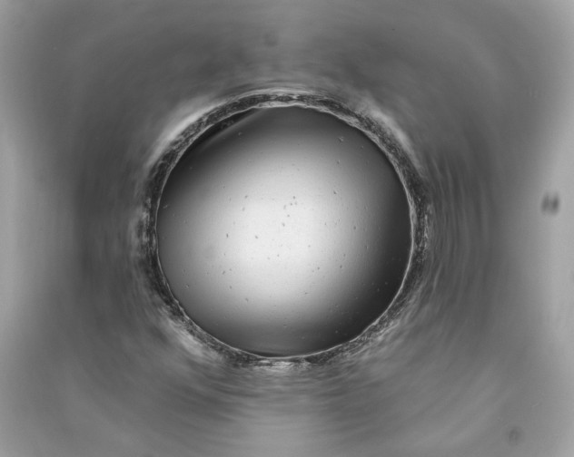 X0000090771352200708101801