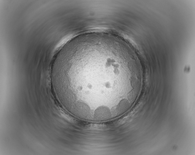 X0000090771354200708101800