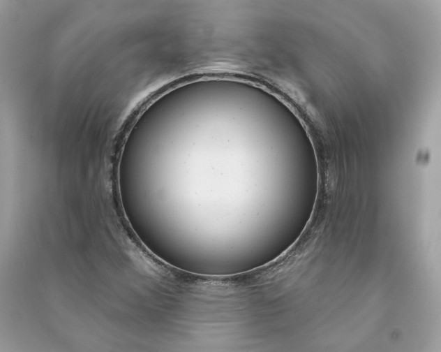 X0000090771356200708101800