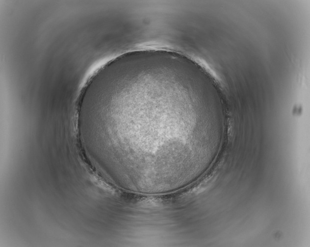X0000090771358200708101800
