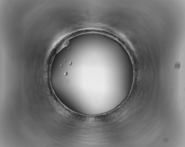 X0000090771360200708101800