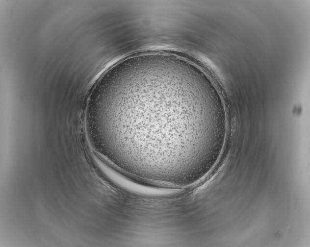 X0000090771361200708101800