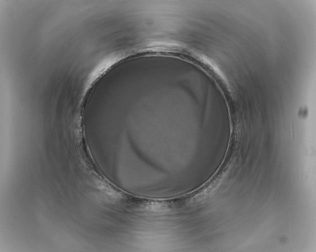 X0000090771362200708101800