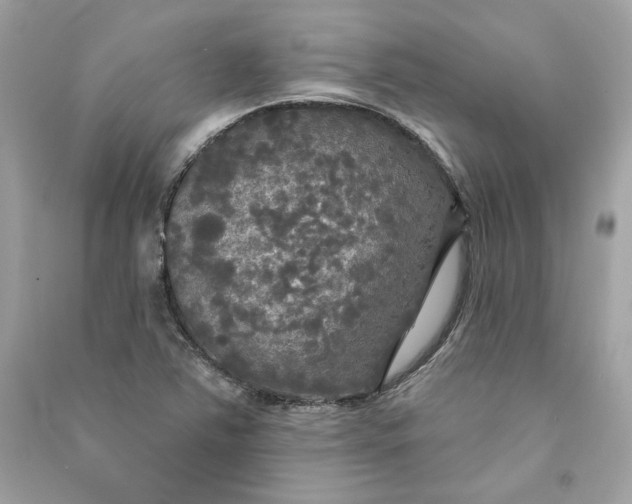 X0000090771363200708101800