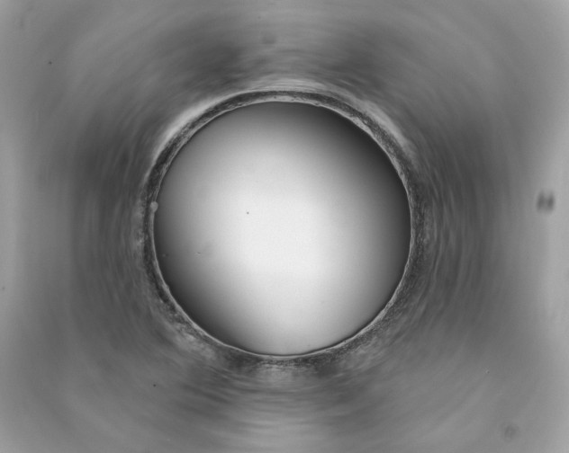 X0000090771364200708101800