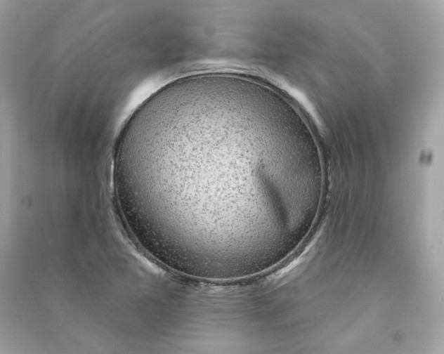 X0000090771365200708101800