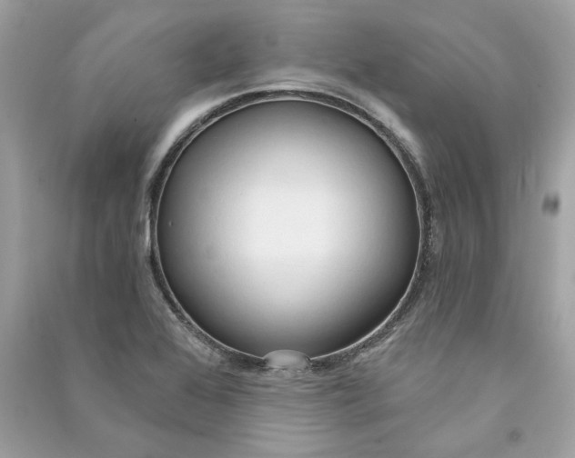 X0000090771368200708101800