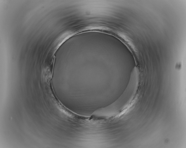 X0000090771369200708101800