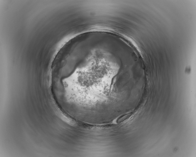 X0000090771371200708101800