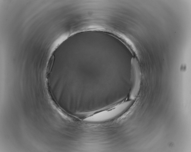 X0000090771373200708101800