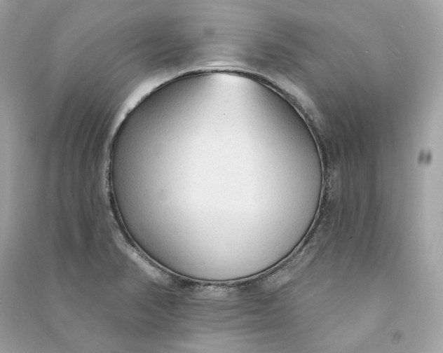 X0000090771374200708101800
