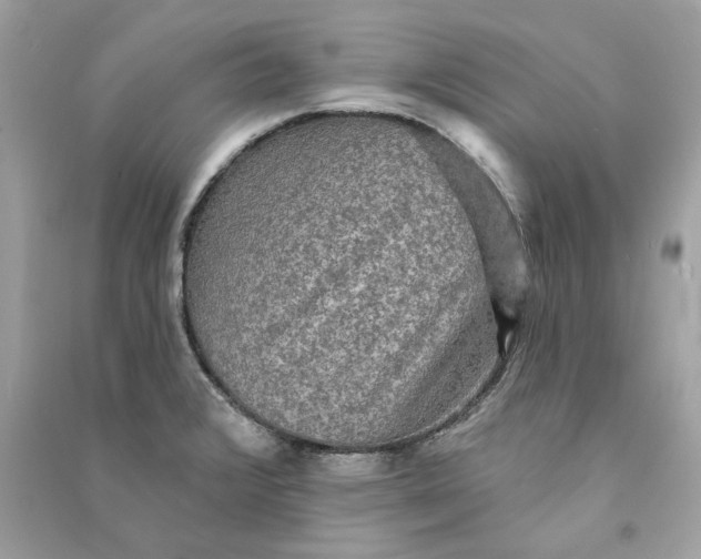 X0000090771376200708101800