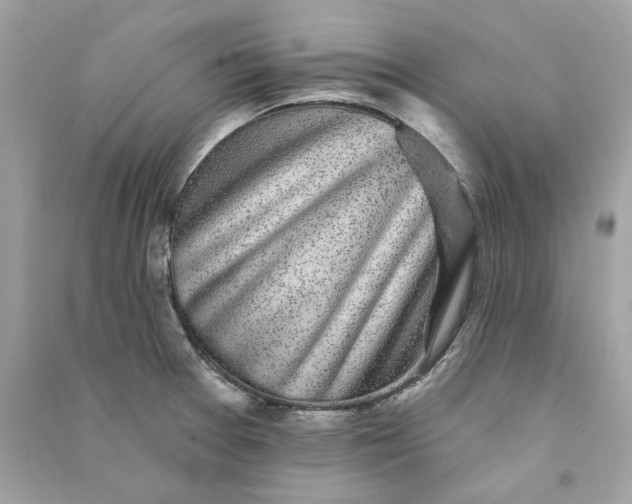 X0000090771377200708101800