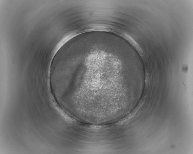 X0000090771378200708101800