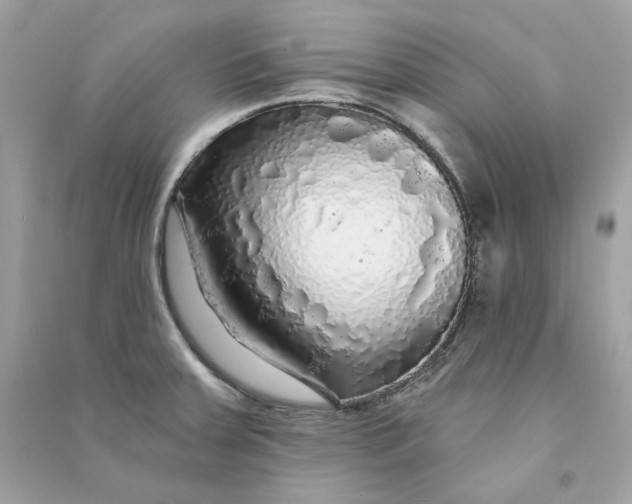 X0000090771379200708101800