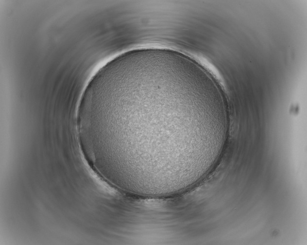 X0000090771380200708101800