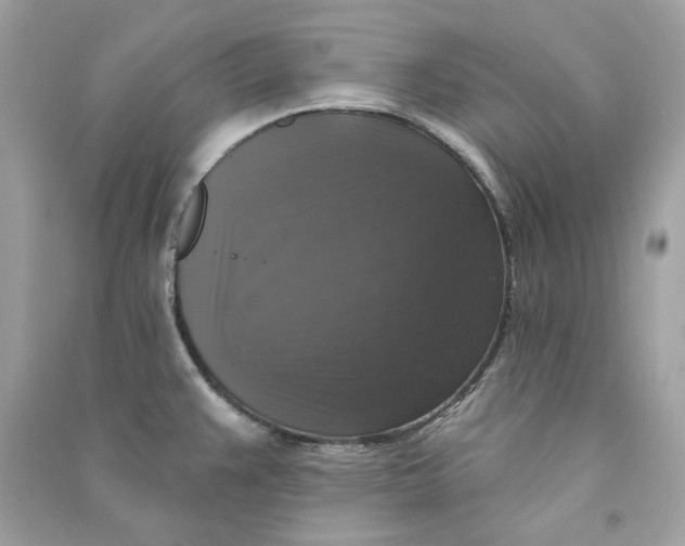 X0000090771383200708101800