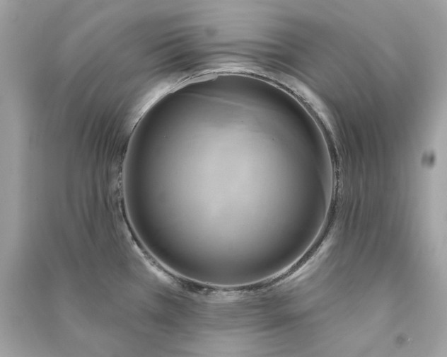 X0000090771385200708101800