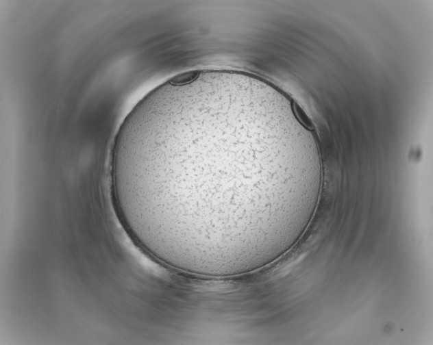 X0000090771387200708101800