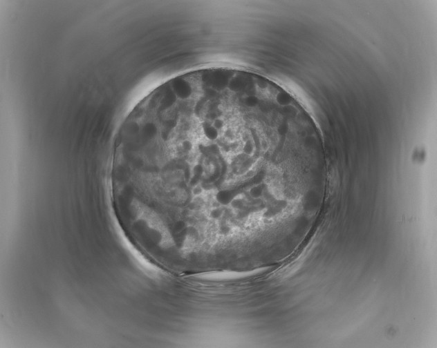 X0000090771391200708101800