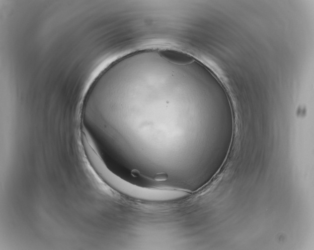 X0000090771392200708101800