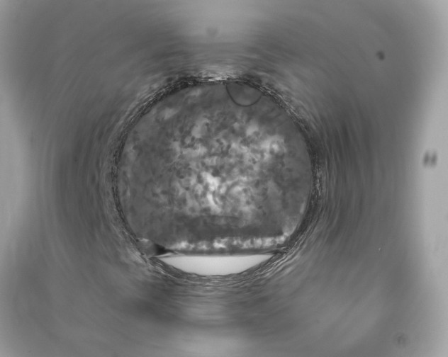 X0000090771393200708101759