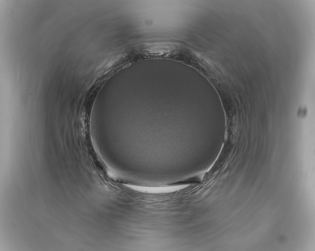 X0000090771394200708101759