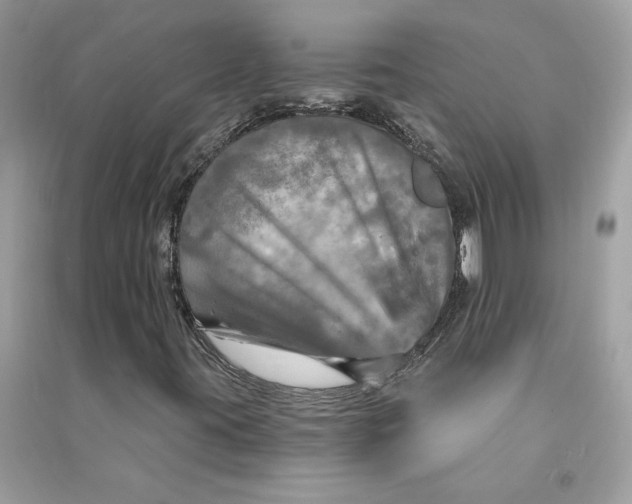 X0000090771395200708101759