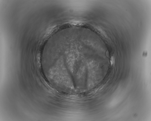 X0000090771396200708101759