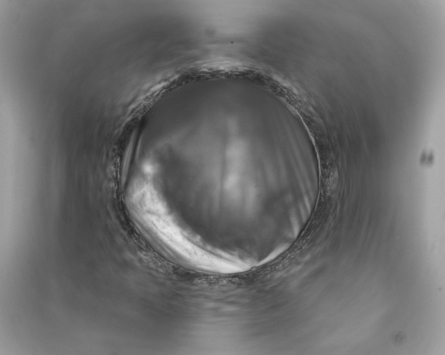 X0000090771397200708101759