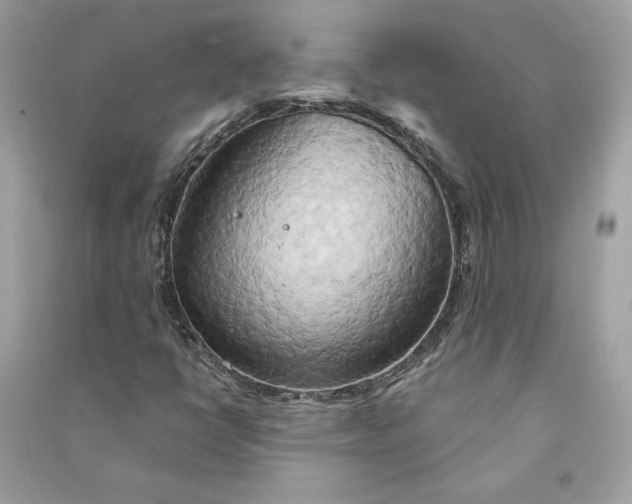 X0000090771398200708101759