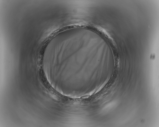 X0000090771399200708101759