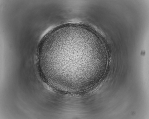 X0000090771400200708101759