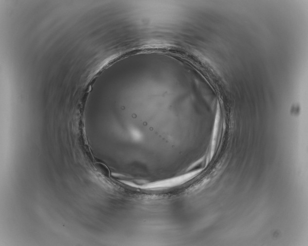 X0000090771401200708101759