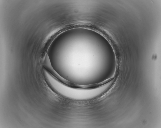 X0000090771402200708101759