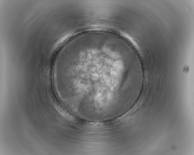 X0000090771403200708101759