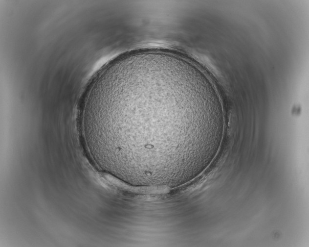 X0000090771404200708101759