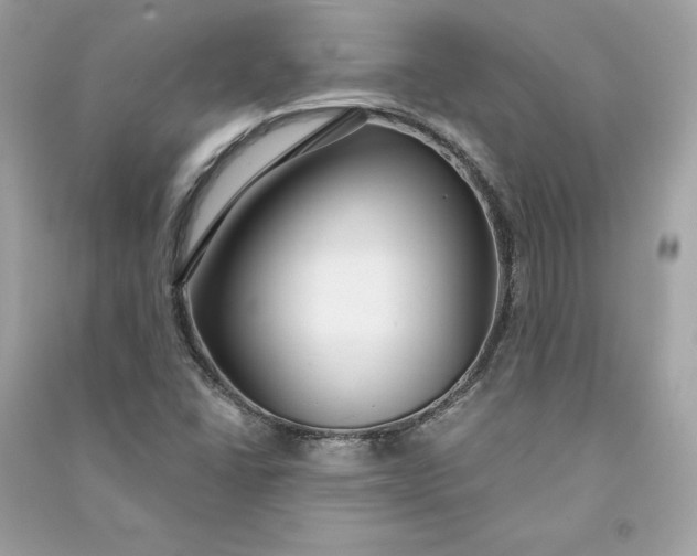 X0000090771406200708101759