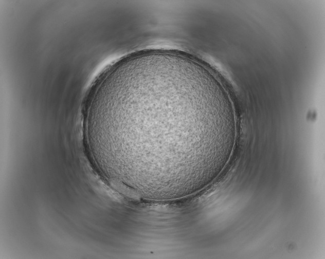 X0000090771408200708101759