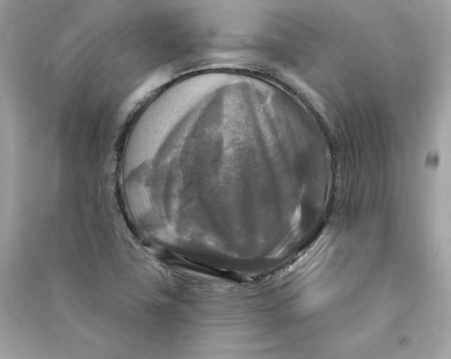 X0000090771411200708101800