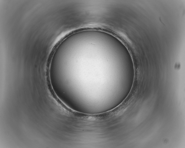X0000090771412200708101800