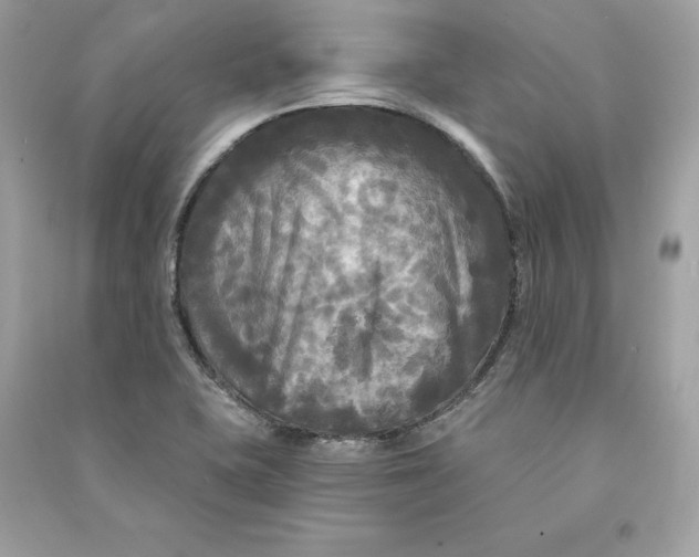 X0000090771415200708101800
