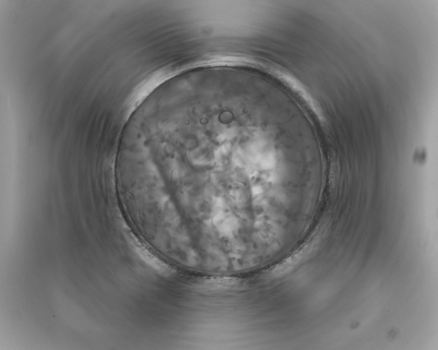 X0000090771417200708101800