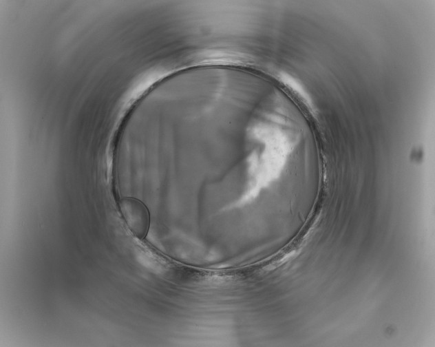 X0000090771419200708101800