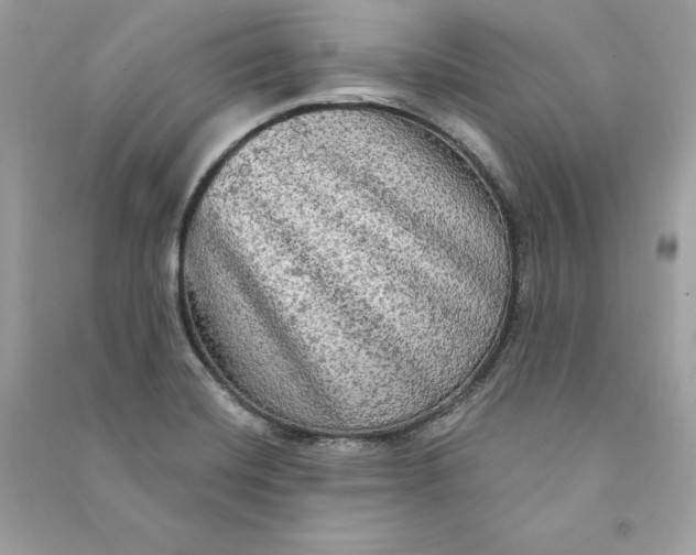 X0000090771420200708101800