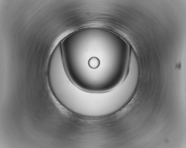 X0000090771426200708101800
