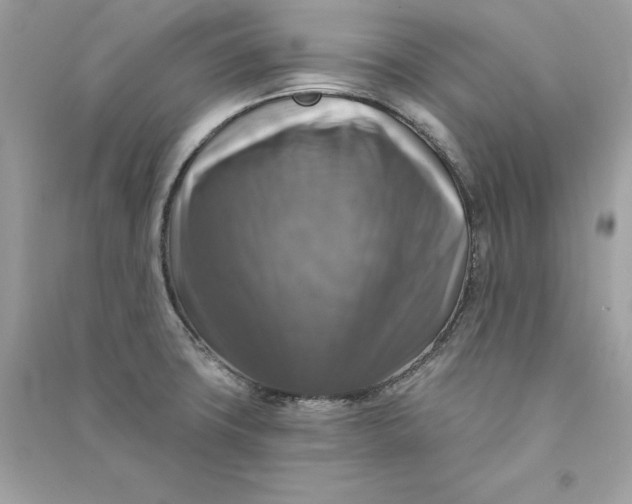 X0000090771427200708101800
