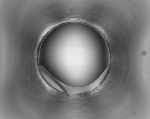 X0000090771430200708101800
