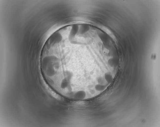 X0000090771431200708101800
