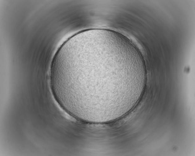 X0000090771432200708101800